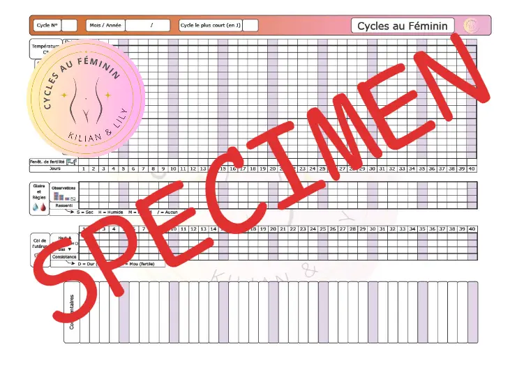 Cyclogramme original ©CyclesauFéminin version PDF